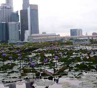 Marina Bay 