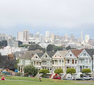 Painted Ladies