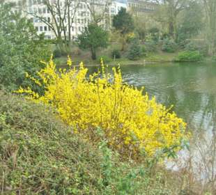 Kaiserteich