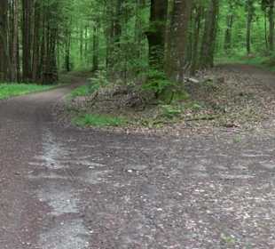 Naturpark Schönbuch