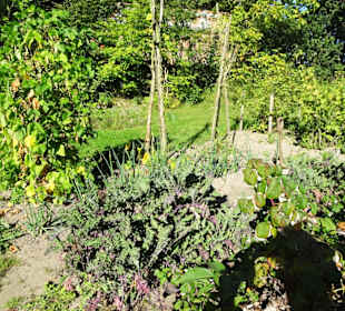 Bauerngarten im Freilichtmuseum am Kiekeberg