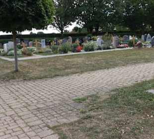 Neuer Friedhof Gülstein