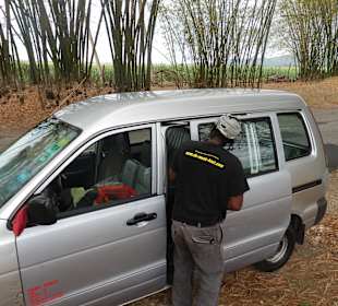 Bambusallee und Junior