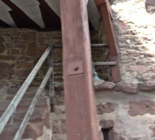 Altes Schloss Altensteig