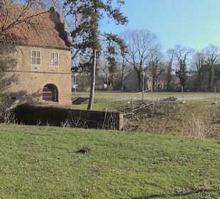 Botanischer Garten - Rombergpark