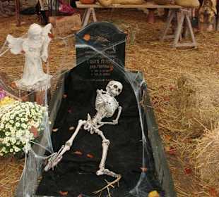 Tolle Halloween-Deko