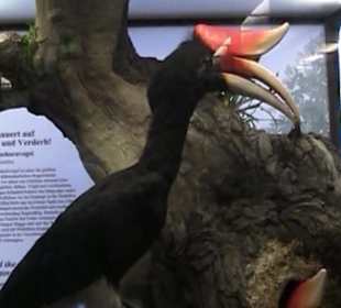 Naturhistorisches Museum