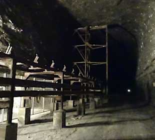 Salzbergwerk