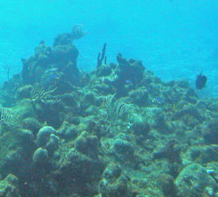 ... und so sieht's unten aus!