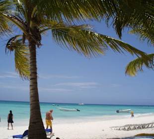 Ausflug auf die Insel Saona
