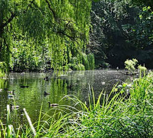 Impressionen aus dem Schlossgarten