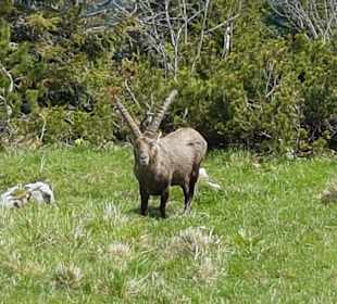 Wandern Heilbrunn