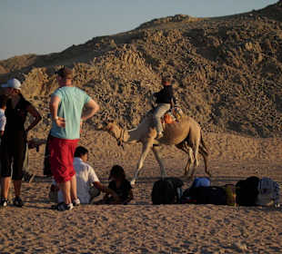 Kamelreiten in der Wüste inklusive
