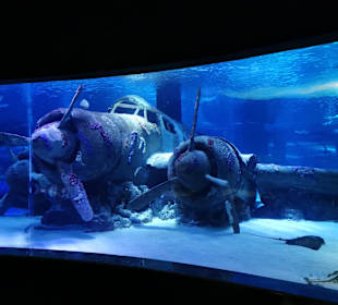 Aquarium Antalya	