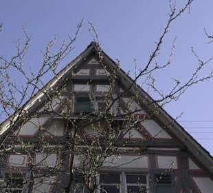 Stadtschloss