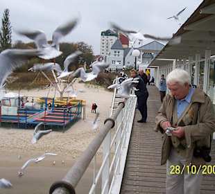 Seebrücke Heringsdorf