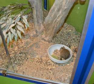 Aquarium/Terrarium Umag