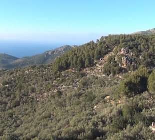 Mirador de Ses Barques
