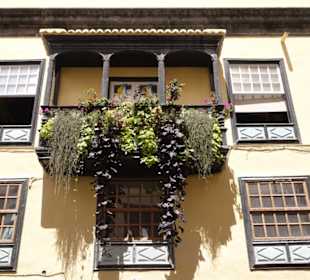 Sehen ja auch schön aus