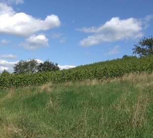 Hochgehnießen - Premiumspazierwanderweg