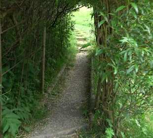 Barfußpfad Tieringen