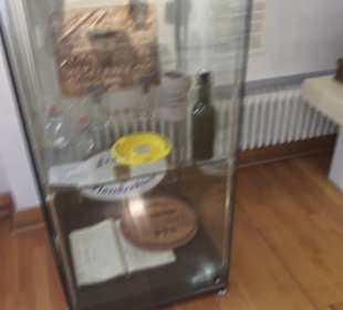 Theodor Zink Museum
