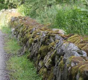 Natur pur an der Blidingsholmer Brücke