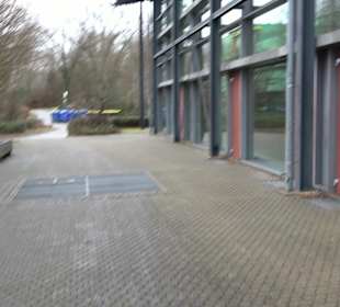 Festhalle Wittumhalle