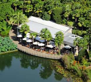 Das Palmen-Café am Seerosenteich