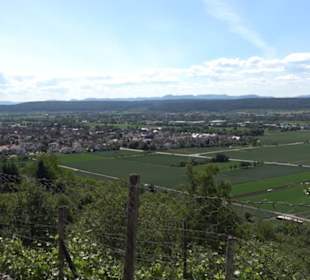 Früchtetrauf - Wurmlinger Kapellenwegle