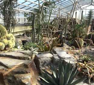 Gewächshäuser Botanischer Garten