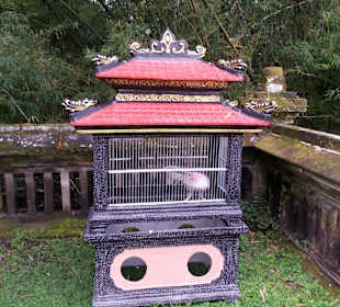 Huhn im Schrein