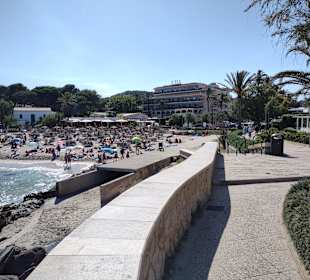 Strand