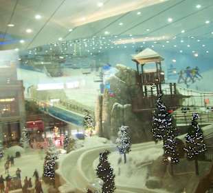 Dubai Tour guides