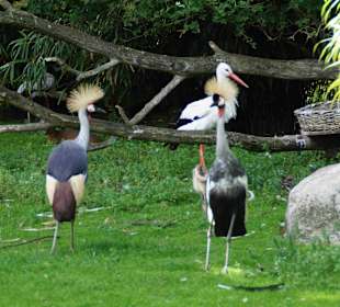 Tierpark Hagenbeck