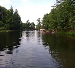 Bärenlochweiher in Kindsbach