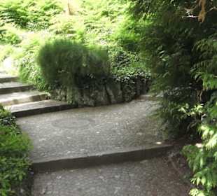 Alter botanischer Garten