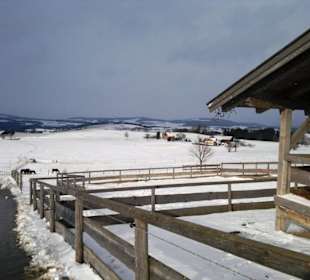 Gut Aiderbichl  Gegend