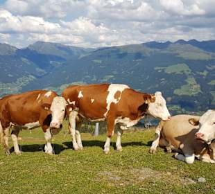 Wandern Kaltenbach