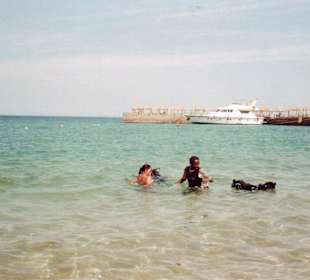 Schnuppertauchen am Strand
