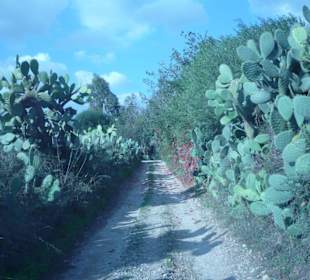 Landschaft Sardinien