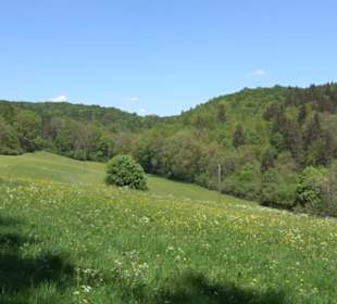 Premiumwanderweg Hochgehschätzt