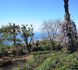Jardim Botanico Funchal