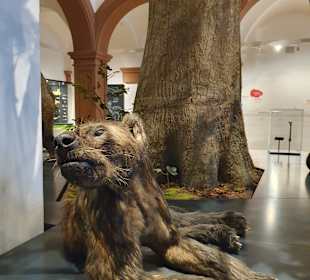 Naturhistorisches Museum