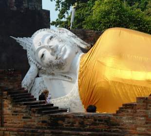 Wat Yai Chai Mongkon