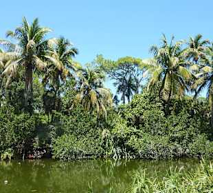 Sehr schön hergerichtet