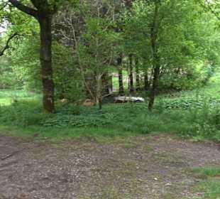 Naturinfopfad Weggental