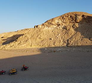 Quad tour