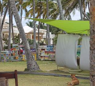 Gundula's Tropical Treasure