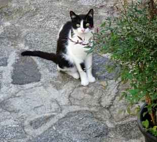 Rundgang durch die Altstadt von Eus